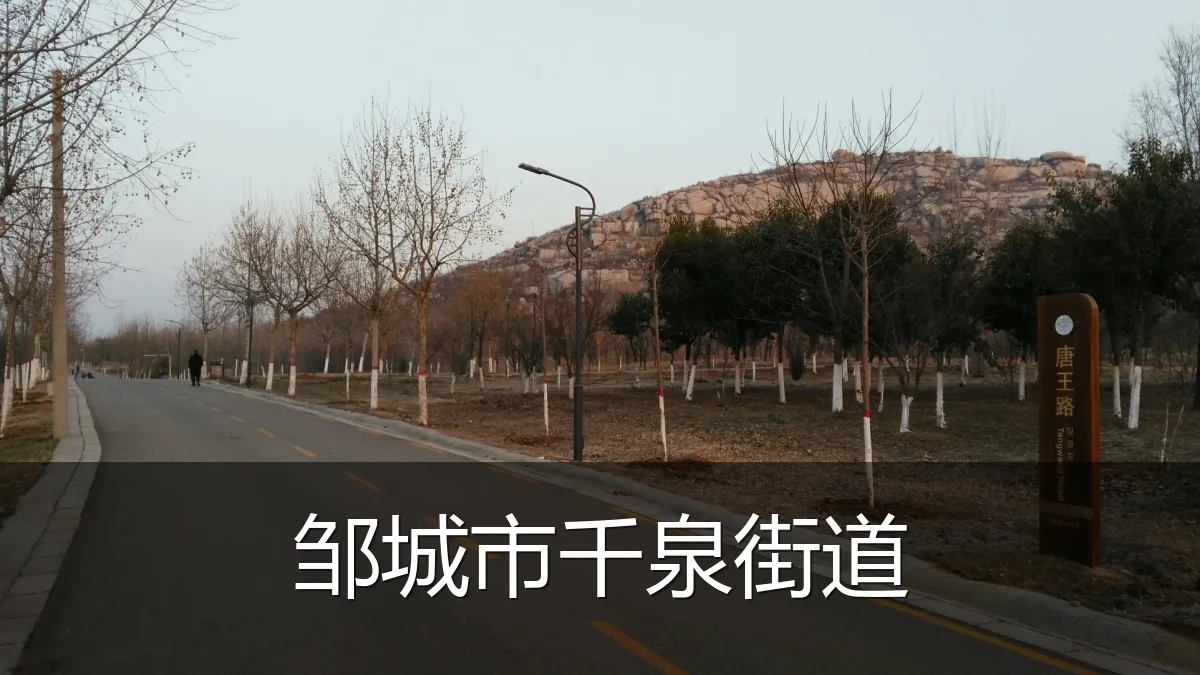邹城市千泉街道